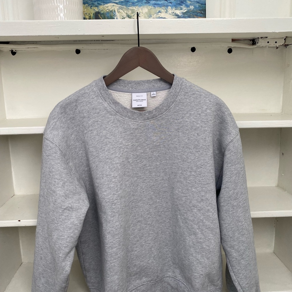 Aritzia Heather Gray Sweatshirt